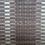Chinese-Chick-C002